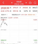 {股票配资盈利}一反弹就遭砸盘新能源板块何时才能王者归来？
