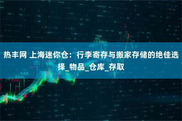 热丰网 上海迷你仓：行李寄存与搬家存储的绝佳选择_物品_仓库_存取
