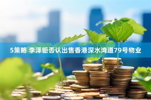 5策略 李泽钜否认出售香港深水湾道79号物业