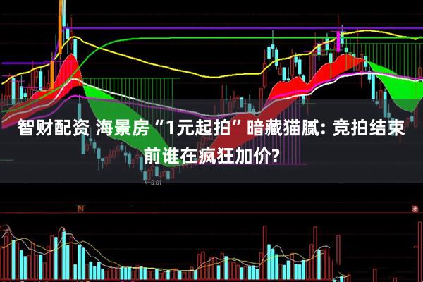 智财配资 海景房“1元起拍”暗藏猫腻: 竞拍结束前谁在疯狂加价?