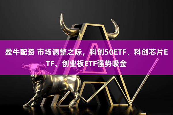 盈牛配资 市场调整之际,科创50ETF、科创芯片ETF、创业板ETF强势吸金