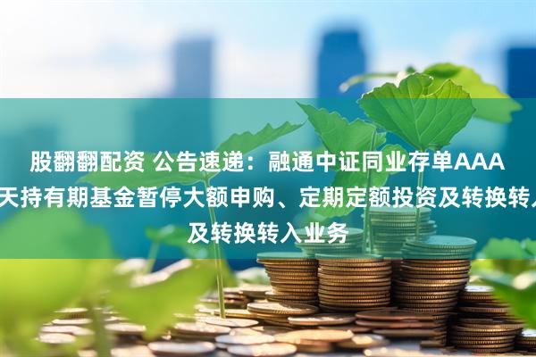 股翻翻配资 公告速递：融通中证同业存单AAA指数7天持有期基金暂停大额申购、定期定额投资及转换转入业务
