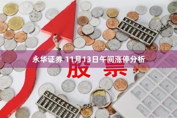 永华证券 11月13日午间涨停分析