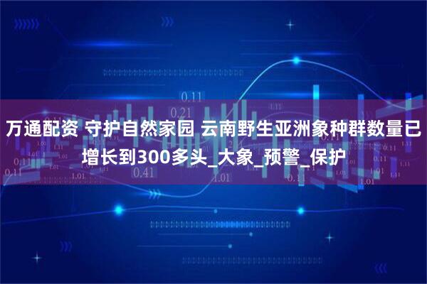 万通配资 守护自然家园 云南野生亚洲象种群数量已增长到300多头_大象_预警_保护