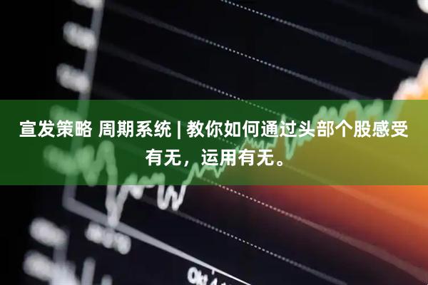 宣发策略 周期系统 | 教你如何通过头部个股感受有无，运用有无。