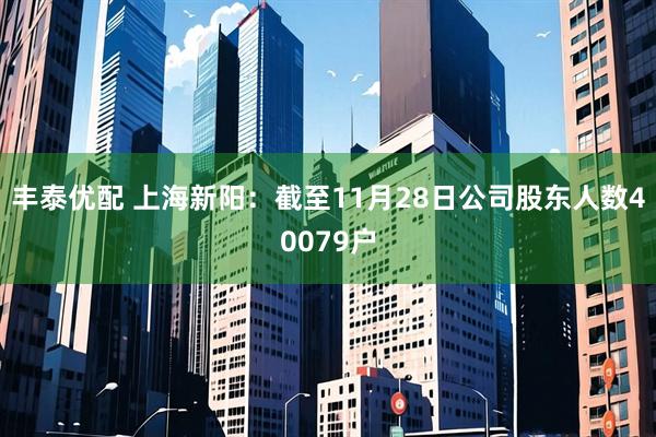 丰泰优配 上海新阳：截至11月28日公司股东人数40079户